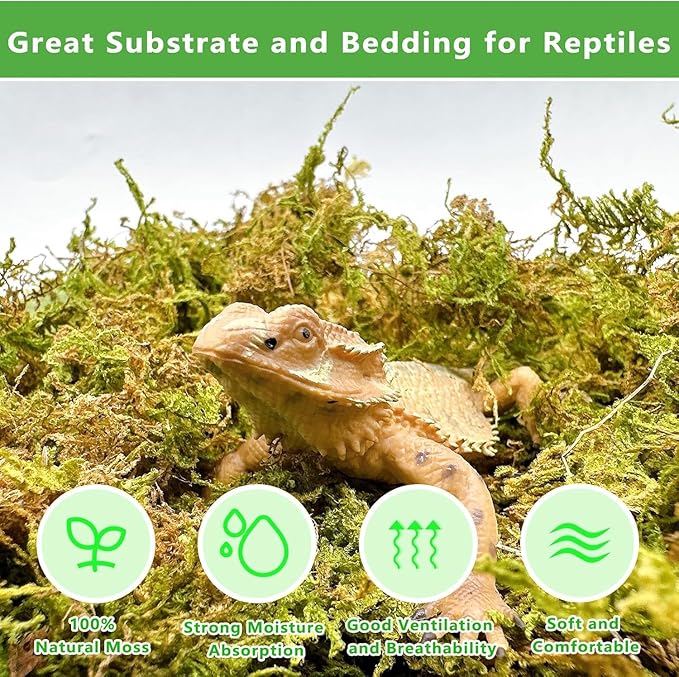 BNOSDM 5.2OZ Natural Sphagnum Moss for Reptiles,7QT Reptile Dried Live Moss Substrate for Terrarium Plants,Frogs Peat Mosses Bedding for Leopard Gecko,Tortoises,Snake,Lizards,Salamanders