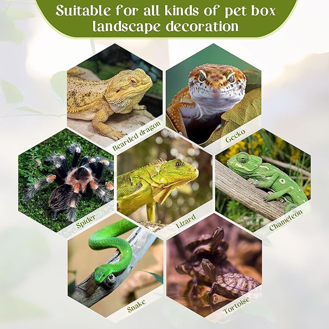 Reptile Plants for Terrarium Decor, Amphibian Habitat Decor Plant, Ball Python Decor Tank Accessories for Gecko Lizard Chameleon Frog Snake Tortoise with Base - Fake Heuchera Micrantha Yellow