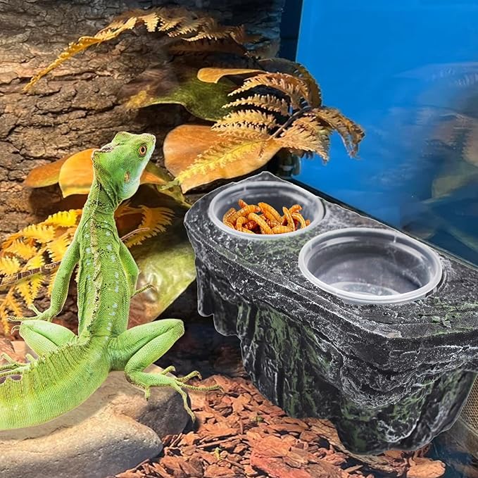 kathson Magnetic Reptile Feeder Ledge,Double Bowl Magnetic Lizard Food and Water Dish Crested Gecko Feeding Bowls with Suction Cup Reptile Food Bowl Accessories for Chameleon Spider