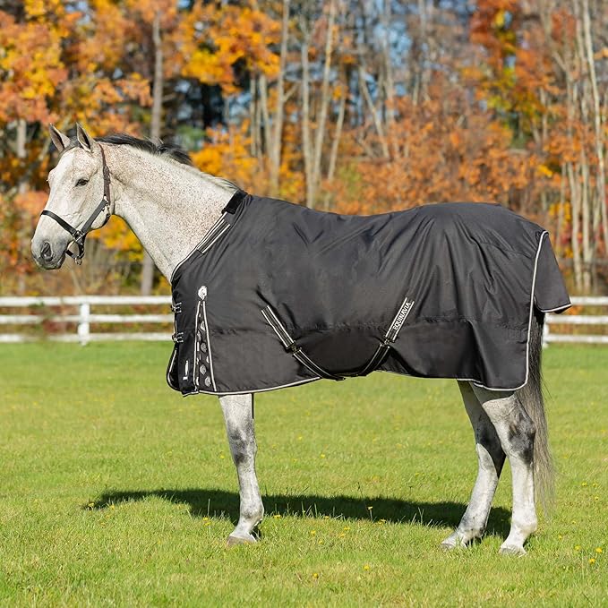 Equinavia Norse Lightweight 100g Fill Horse Rain Blanket | Waterproof Turnout Sheet - Black - 66 in - Black - 81 in