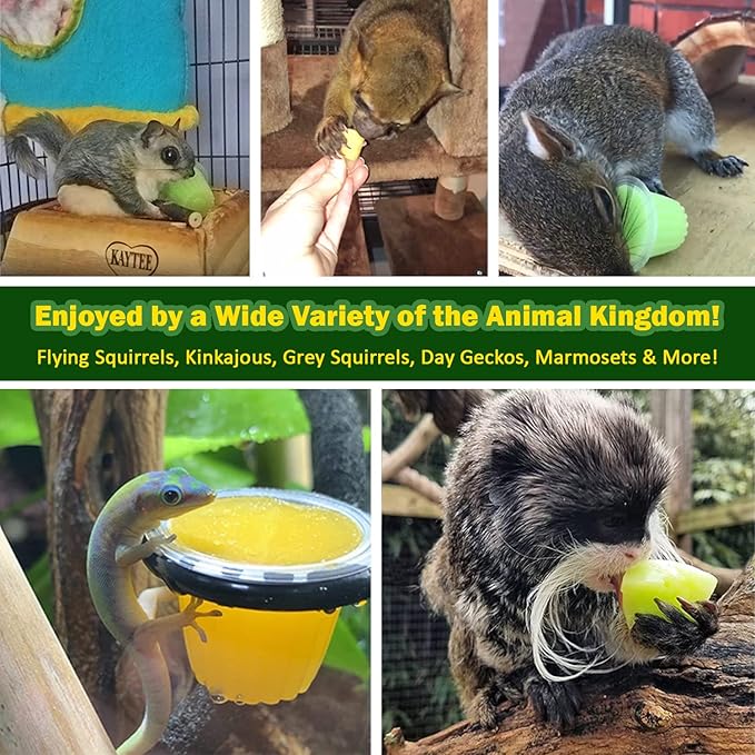 Nectar Pods (Pineapple) - Calcium-Fortified Jelly Fruit Treat - Sugar Gliders, Marmosets, Squirrels, Parrots, Cockatiels, Parakeets, Birds, Hamsters, Day Geckos, Kinkajous & Other Small Pets