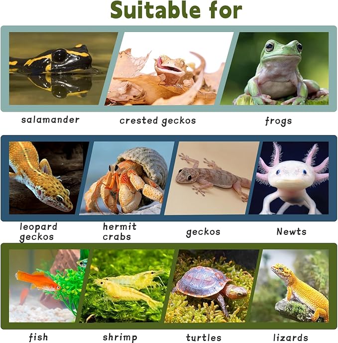 PINVNBY Turtles Basking Platform Reptile Hides and Caves Resin Dock for Aquarium Hideout Terrarium Tank Accessories for Small Reptiles, Amphibians, and Fish