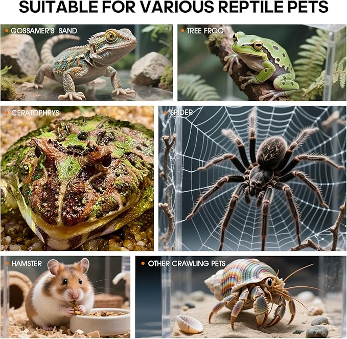 Jumping Spider Enclosure Accessories, Tarantula Spider Box, Bug Cage, Praying Mantis Habitat Enclosure, Snail Insect Terrarium, Caterpillar Habitat (6x6x12 inch)
