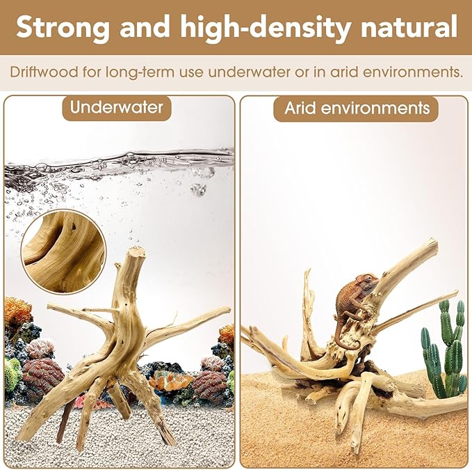 Jorewood Natural Large Spiderwood Driftwood for Aquarium Decor Rptile Fish Tank Decoration Assort Branch 13-16'' Pack of 1
