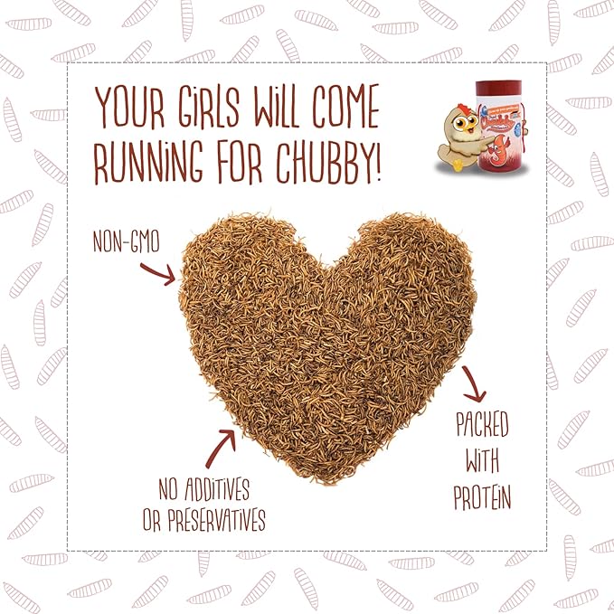Chubby Mealworms 10Lb Bulk Dried Mealworms for Chickens, Birds, Ducks and Much More