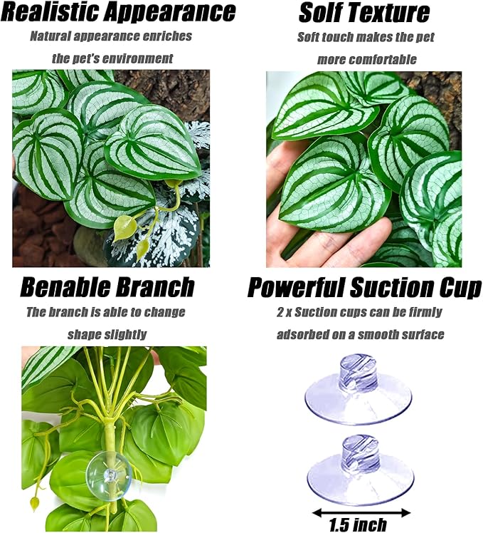 Woyrise Reptile Plants, Terrarium Hanging Plant Vines, Artificial Leaves with Suction Cup, Bearded Dragon Tank Accessories for Gecko Lizard Snake Frog Tortoise Decorations - Calathea Orbifolia