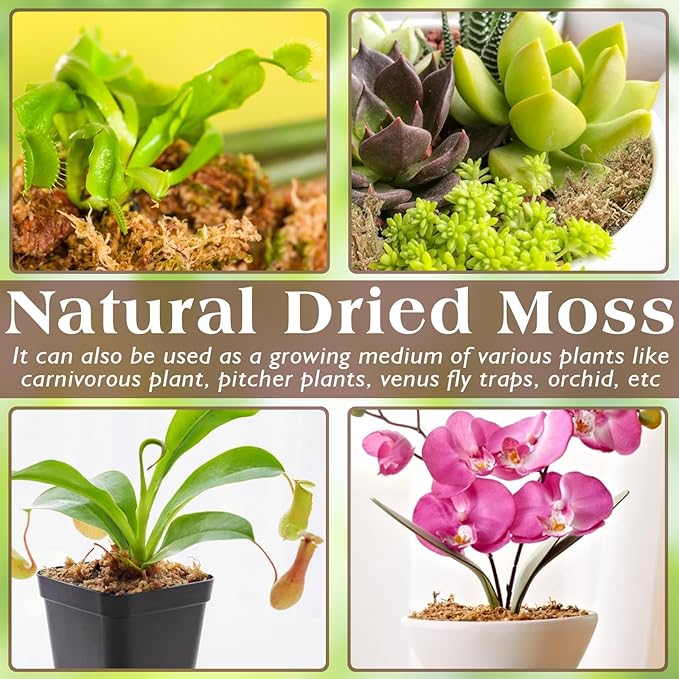ZeeDix 2.2LBS Premium Sphagnum Moss for Reptiles, 50QT Dried Moss for Terrarium Long Fibered Leopard Gecko Moss Natural Sphagnum Peat Moss Bedding for Frogs Anoles Snake Turtle Plants