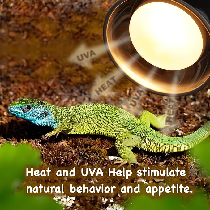 75W 2-Pack Reptile Basking Heat Bulb, UVA Daylight Heat Lamp Bulbs for Bearded Dragons, Turtles, Snakes, Lizards & Amphibians - Provides Infrared Heat Output & Sunlight Simulation Heating Light