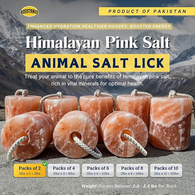 RESISTANCE Himalayan Salt Lick 2lb Block on Rope for Horses, Cattle, Deer, Goats, and Livestock – Pack of 2 Blocks