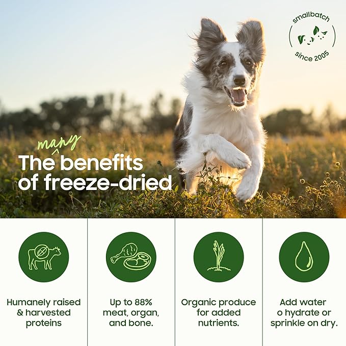 smallbatch Pets Freeze-Dried Raw Dog Food – Chicken Recipe –7 oz Small Bites – High Protein, Grain Free – Complete Meal or Topper – Made in USA with Organic Superfoods(7 Oz, Chicken)
