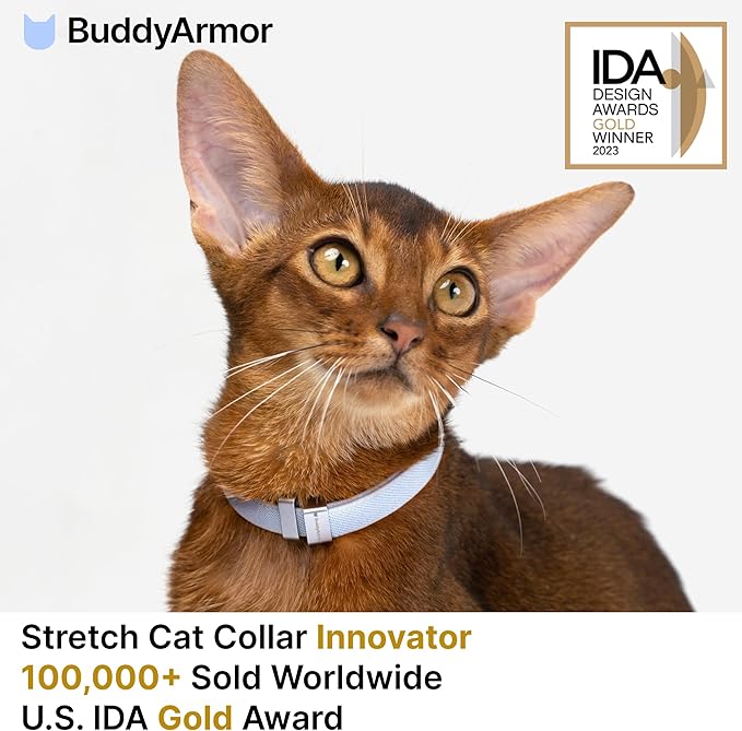 Safety Cat Collar Pro - U.S. IDA Gold Awarding Design, Elastic Quick Release Cat Collar with Buckle Non Breakaway - Lightweight for Kitten All Small Large Cats (Glacier Silver, M 7.9-15.7")