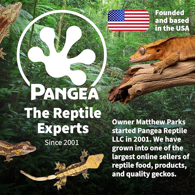 Pangea Ultimate Eco Dish, Crested Gecko Food and Water Bowl for Terrestrial Lizards, Durable Silicone Feeding Accessory for Reptile Terrariums 3.125in x 5.5in (Pink Marble)