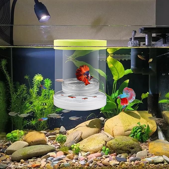 Breeder Box for Fish Tank, Plastic Floating Adjustable Mesh Isolation Hatchery Incubator Aquarium Divider for Small Baby Fish, Betta, Shrimp, Clownfish, Guppy (Green, Large)