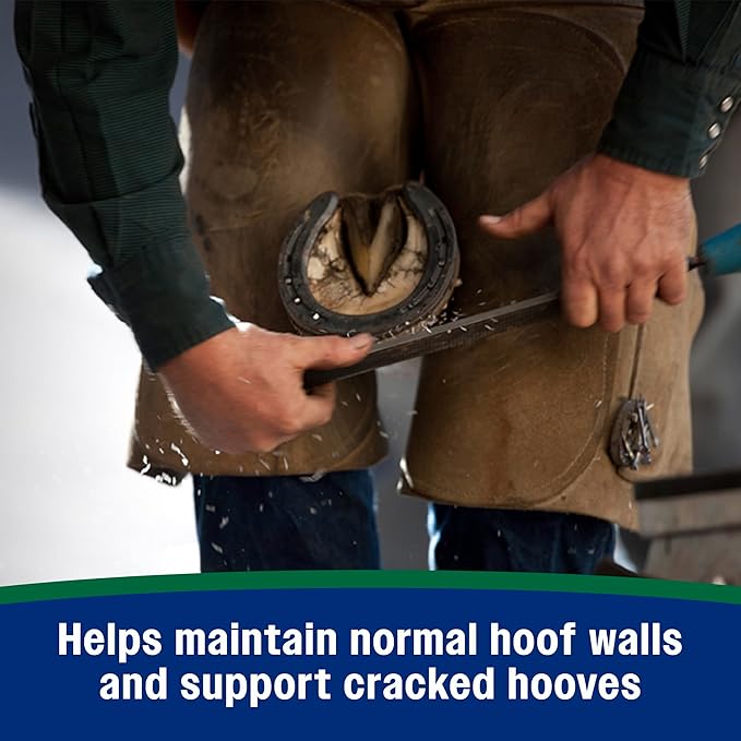 Farnam Horseshoer's Secret Pelleted Hoof Supplements, Promotes healthy hoof growth, maintains hoof walls & supports cracked hooves, 38 lbs., 100 day supply