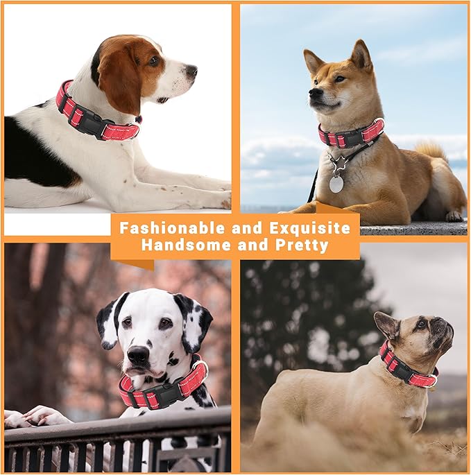 2 Pack Reflective Dog Collar with Safety Locking Buckle, Adjustable Soft Breathable Comfortable Nylon Pet Collar for Small, Medium and Large Dogs, Red, XS
