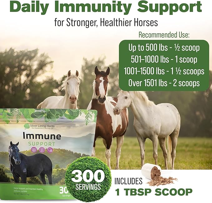 Silver Lining Herbs Immune Support for Horses – Natural Horse Supplements for Immune System, Stamina & Detox – Herbal Horse Health Formula – 5 lb (300 Servings)
