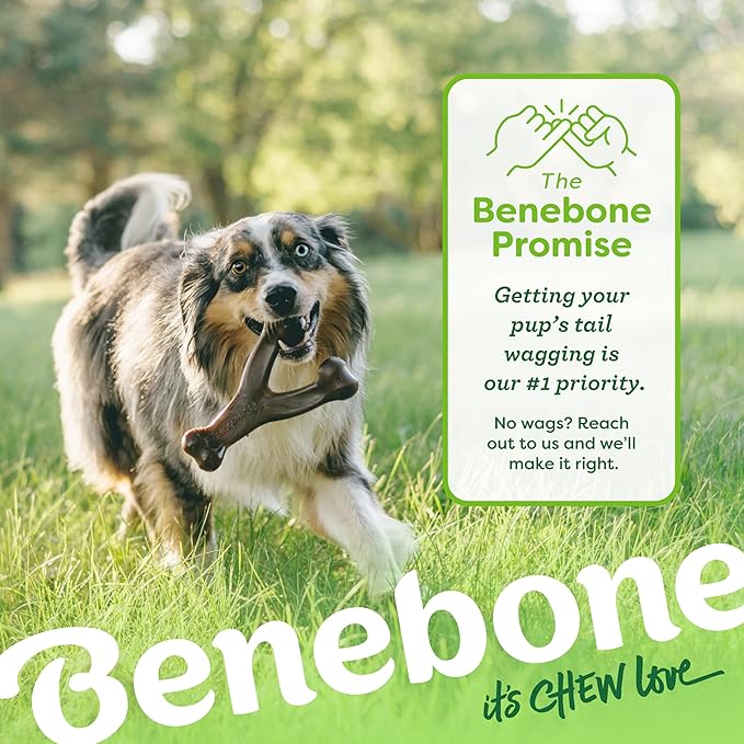 Benebone Large 3-Pack, Wishbone Durable Dog Chew Toy for Aggressive Chewers, Real Bacon, Chicken, Peanut Butter, Made in USA, Variety Pack