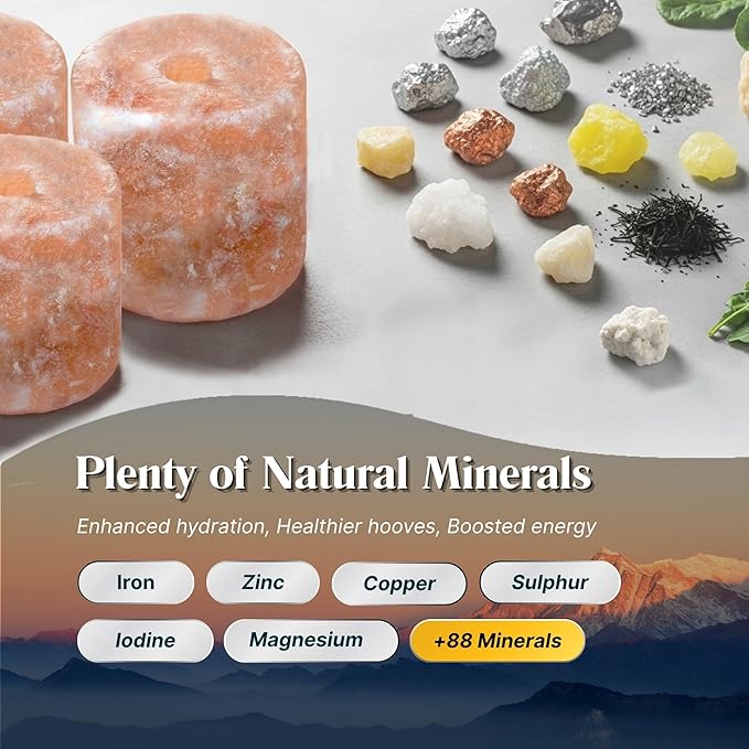 RESISTANCE Himalayan Salt Lick 2lb Block on Rope for Horses, Cattle, Deer, Goats, and Livestock – Pack of 10 Blocks