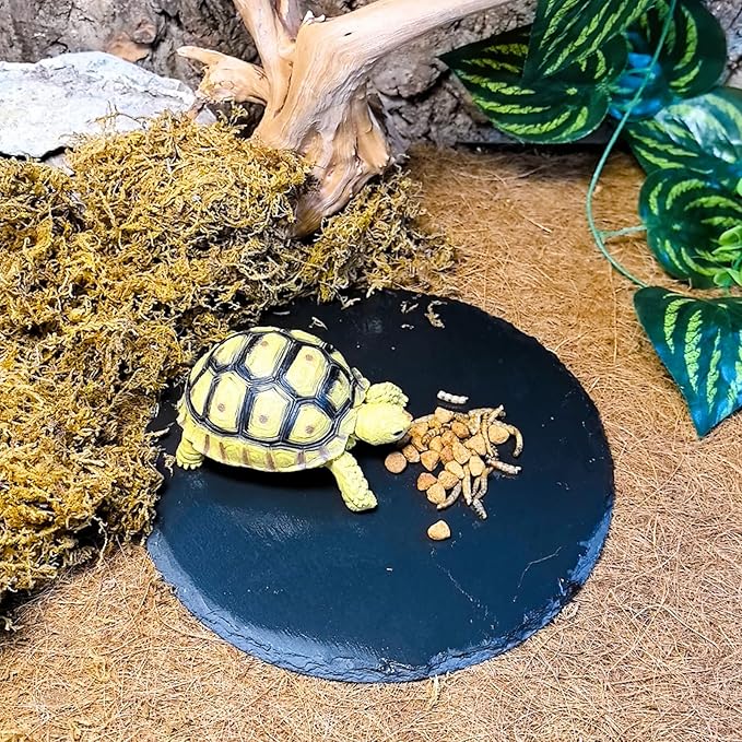 Tfwadmx Reptile Basking Platform,7.8IN Tortoise Rock Slate Plate Feeding Food Bowl Dish Turtle Bathing Resting Terrace for Lizard Bearded Dragon Chameleon Gecko Snake Frog Newt
