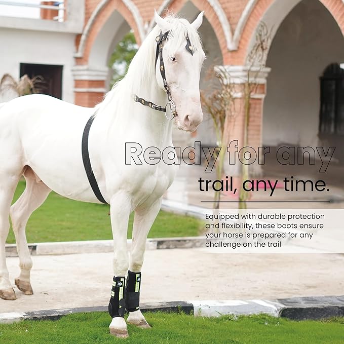 RS Premium Design Gold Line Horse Boots | Comfortable, Protective & Shock Absorber | Sport Boots for Horses Best for Jump Training | Ok Fabric 1682D Provides Ultimate Flexibility