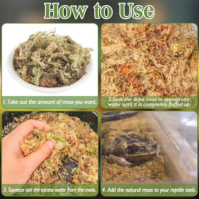 Halatool 9OZ Natural Sphagnum Moss for Reptiles Premium Reptile Moss Ideal Terrarium Moss for Box Turtles Hermit Crabs Leopard Gecko Snakes and Hamsters Enclosure