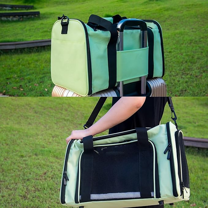 Soft Sided Carrier for Small Medium Cats Dogs,Removable Pad Collapsible Travel Pet Carrier Large Green