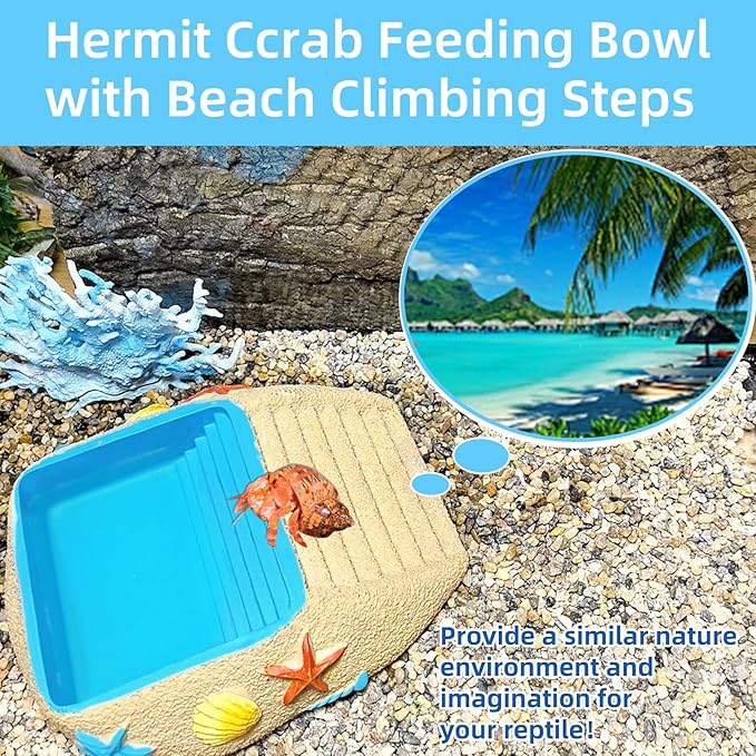 Hermit Crab Water Bowl with Climbing Ramp, Resin Reptile Water Dish Tortoise Habitat Accessories for Turtle, Snake, Lizard, Frog, Gecko, Bearded Dragon (M)