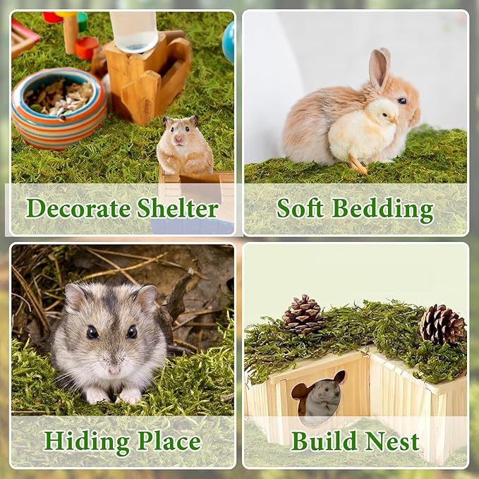 Halatool 12QT Small Animals Bedding & Nesting Material, Forest Moss for Odor Control Rabbits Squirrels Hamsters Guinea Pigs, Soft & Safe for Small Animals Cages Terrariums Reptiles Plants