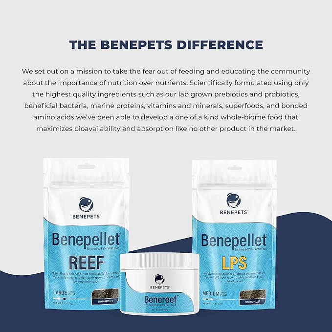 Benepets Benereef Powder Complete Reef Nutrition - Optimize Coral Growth, Color & Regeneration with Max Nutrient Absorption, Prebiotics & Probiotics, Coral & Fish Feed - 80 Grams