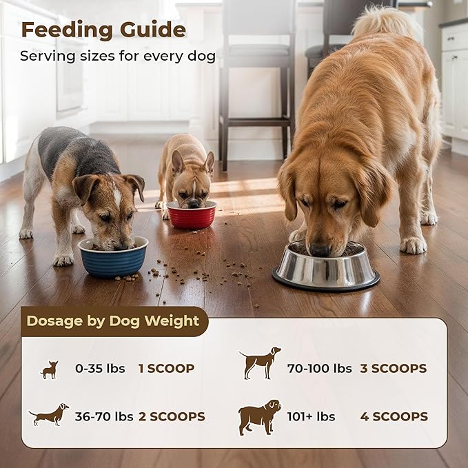 | Beef Organ and Gland Powder for Dogs | Rich in Vitamins and Minerals | 40 Servings