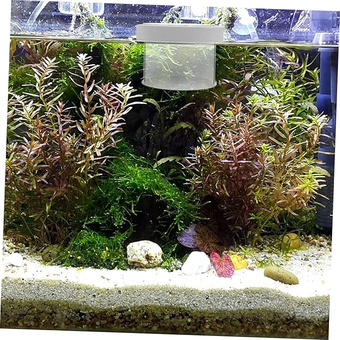 Fish Tank Breeder Box Removable Cover Floating Isolation Tank for Fry and Young Fish Lightweight Acrylic Aquarium Hatching Incubator for
