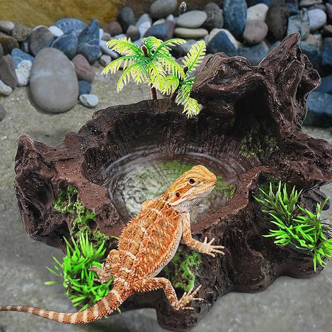 kathson Resin Reptile Bowl Bearded Dragon Food Dish Lizard Water Dish Reptiles Feeding Bowls with Feeder Tweezer for Leopard Gecko Tortoise Chameleon Water Frog Hermit Crab