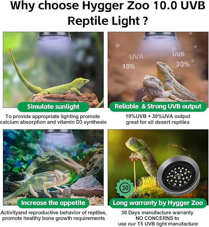 UVB Light for Reptiles with Dimming UVA UVB Reptile Light Fixture with Timer LED UVB Bulb for Bearded Dragon Gecko Turtle Chameleon Lizard Snake Adjustable Brightness Reptile Tank Accessories 8W Grey