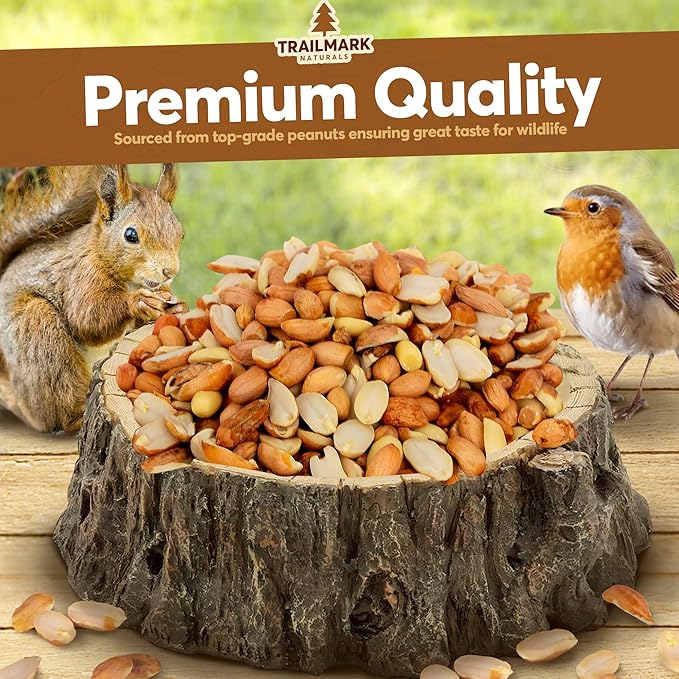 3 LB - Raw Shelled Peanuts For Squirrels, Out of Shell Peanuts For Birds and Wildlife- Squirrel Food, Wild Bird Seed - Grown in The USA