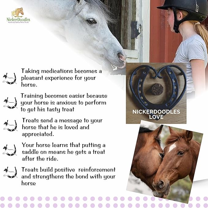 Horse Treats - 5 lb Pail - Effortlessly Give Medications with Our Soft Baked Treats - Training Treats are The Perfect Motivator - No Additives or Preservatives Handles May Vary