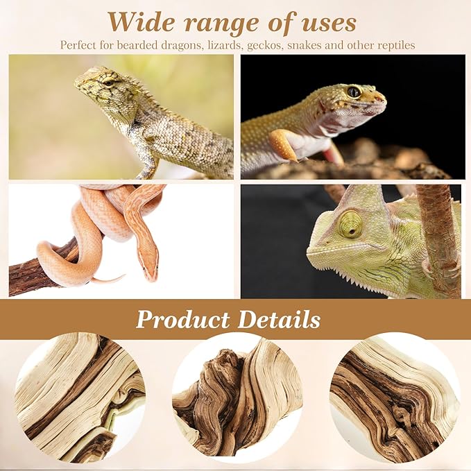 Janinka 10-12" Length Large Wood Reptile Branch for Bearded Dragon Driftwood Reptile Climbing Habitat Decoration for Terrarium Tree Trunk Ornament Gecko Frog Chameleon Spider