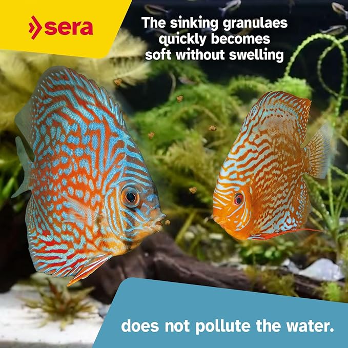Sera Discus Granules Nature 10l (4,2kg/147,1 oz) | Main Feed for All Discus & Ornamental Fish | Rich in Aquatic Proteins & Minerals | No Dyes or Preservatives | Boosts Growth, Health & Fertility