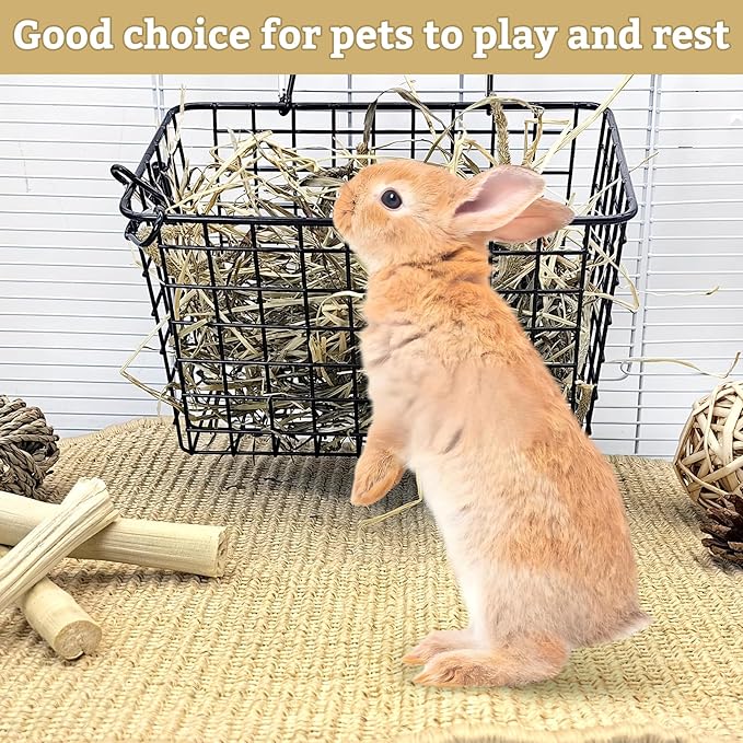 kathson Rabbit Scratching Pad 2 Pcs Natural Sisal Bunny Scratch Mat, Small Animals Nail Scratcher Guinea Pigs Grinding Claw Rug Pet Cage Flooring for Biting Sleeping Nesting (15.75 * 23.62 in)