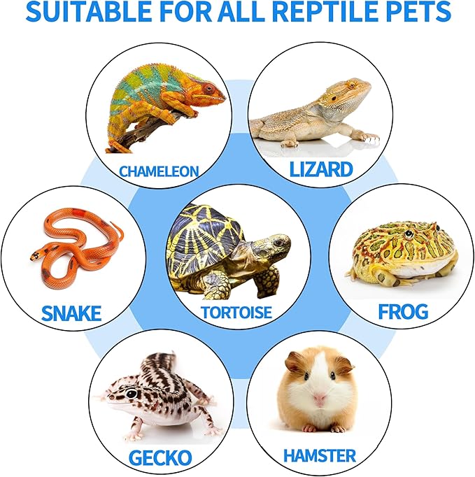 Reptile Basking Platform 6 × 6", Extra Large Reptile Slate, Basking Rock, Slate Tiles Rocks for Reptiles, Terrarium Bowls for Bearded Dragon Tortoise Turtle Ball Python Snake Lizard Gecko