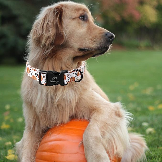 Fall Dog Collar, Cute Orange Pumpkin Pattern Puppy Collar, Soft Comfort Adjustable Holiday Thanksgiving Dog Collars for Small Medium Large Boy&Girl Dogs M