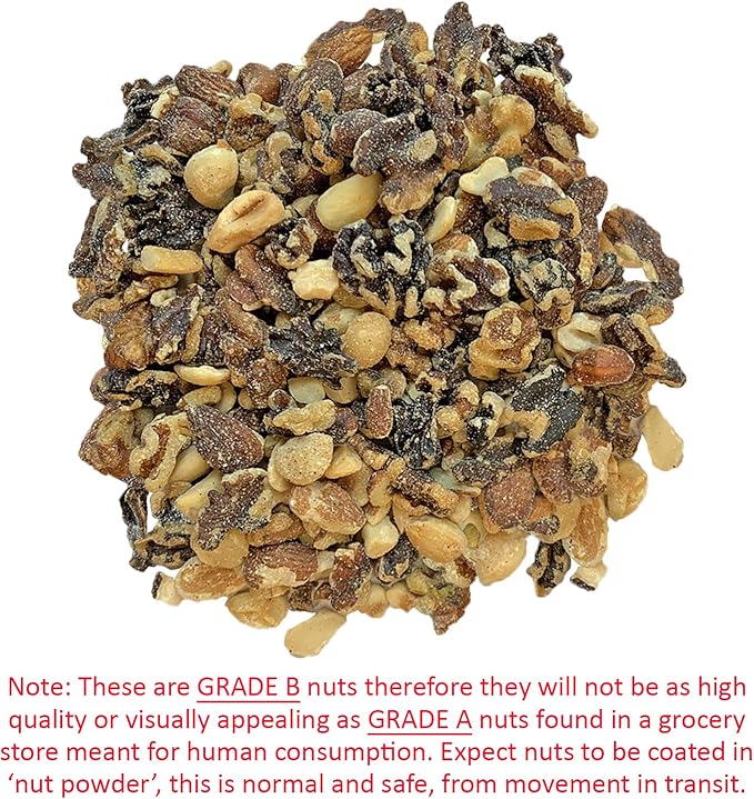 Premium Nut Mix - Unroasted, Unsalted Walnuts, Hazelnuts, Almonds - Food & Treat for Grey Squirrels, Ground Squirrels, Flying Squirrels, Parrots & Other Small Pets (14 Ounce (Pack of 1)