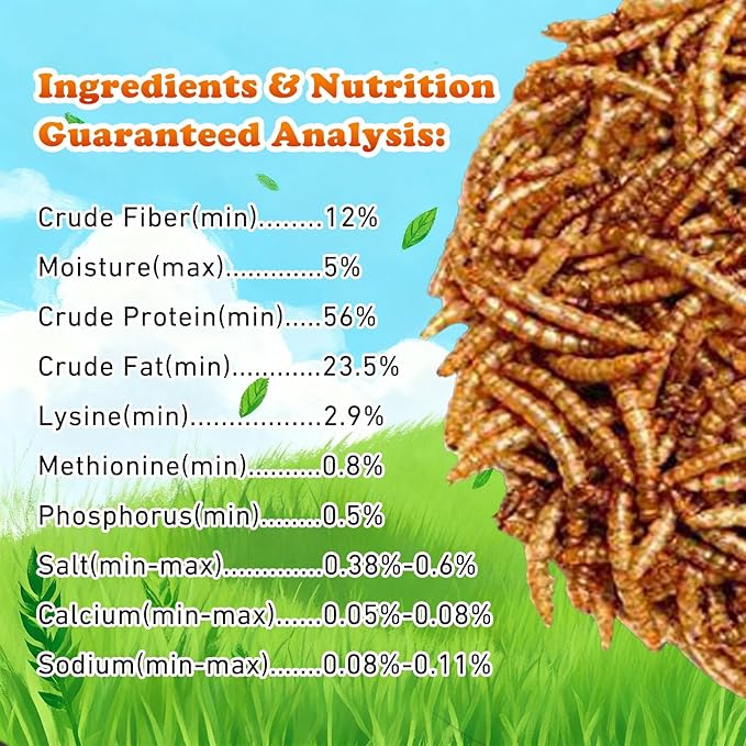 Amzey Dried Mealworms 1 LB, 100% Natural Meal Worms for Chicken & Birds, Organic Chicken Feed for Laying Hens, High Protein and Nutrition, Zipped Bag