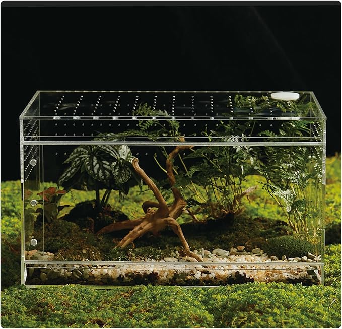 Acrylic Terrarium for Reptiles & Spiders – Small/Medium/Large Leak-Proof Enclosure (Horizontal/Vertical) | Ideal for Tarantulas, Jumping Spiders, Frogs & Geckos(Large Horizontal)
