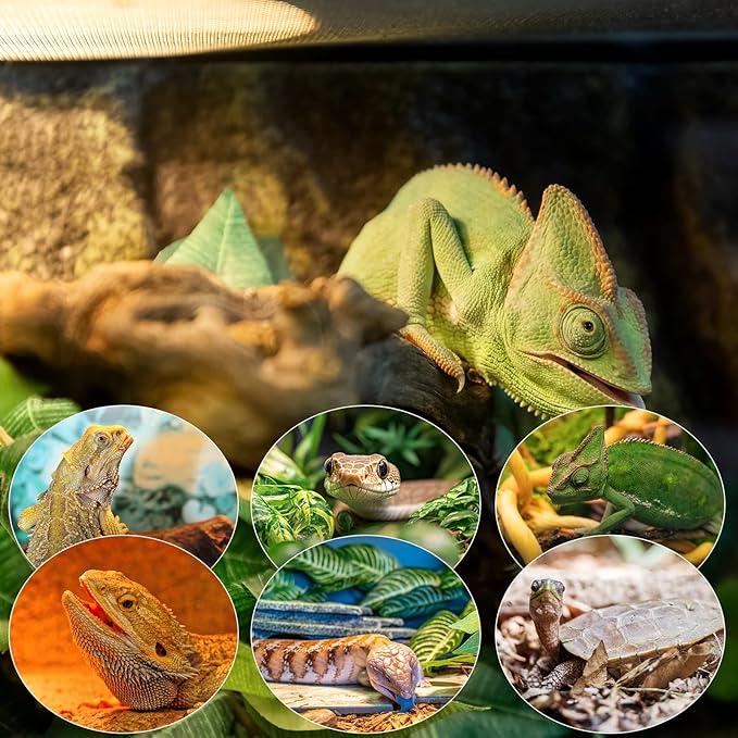 MIXJOY 100W Reptile Heat Lamp Bulb, 2Pack Reptile Basking Spot Light, Upgraded Intense Heat Basking Bulb, UVA Daylight Heat Lamp Bulbs for Reptiles, Bearded Dragon, Lizard, Tortoise, Chicken