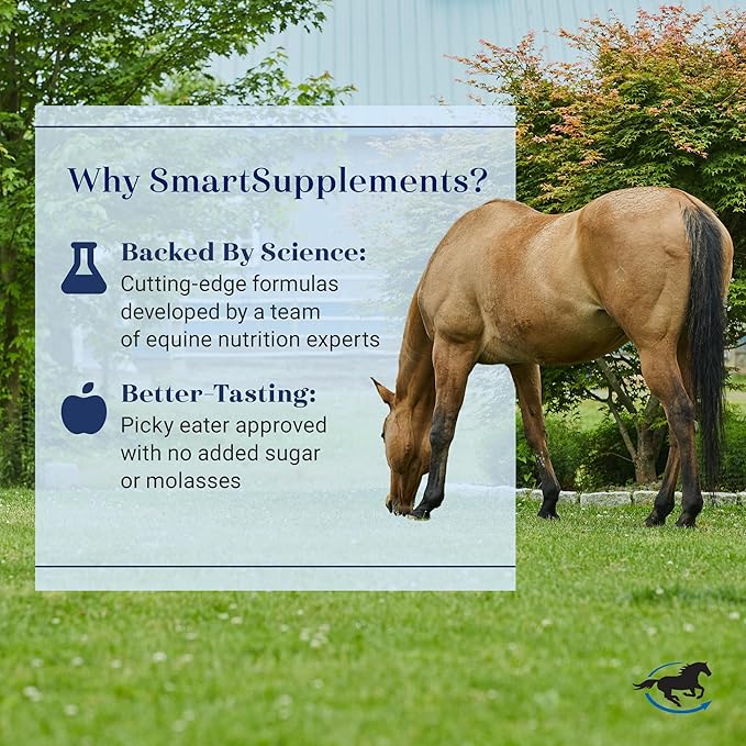 SmartMuscle® Mass Pellets | Horse Muscle Supplements, Bioactive Whey, Gamma Oryzanol, and More | Ideal for Lean Muscle Development and Maintenance | 56 Servings | 10 lb Bucket