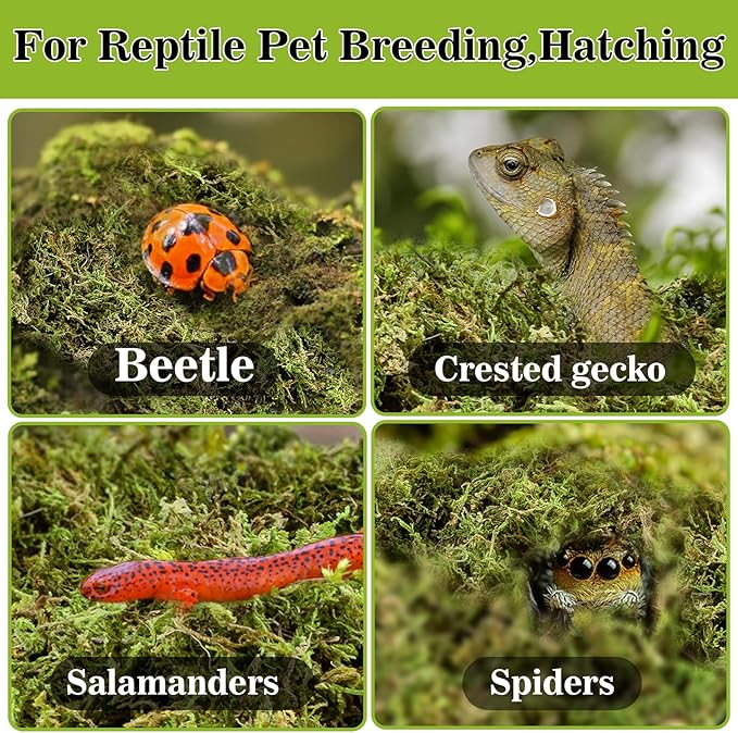Sphagnum Moss for Reptiles - 7 Oz Reptile Moss Peat Terrarium Moss Bedding Reptiles Lizard Substrate for Reptile Tank, Snake, Leopard Gecko, Ball Python, Crested Gecko, Turtle, Frog, Hamster