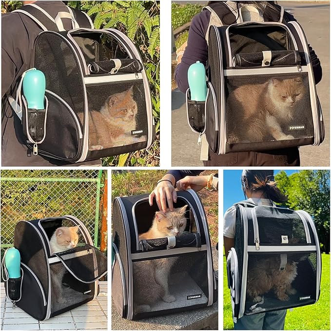 Cat Backpack Carrier for Small Dogs and Medium cat Puppy Kitten Bunny Pet Carrier Backpack Collapsible with Fully Ventilated Mesh with Safety Leash (Black, 12.9" L x 10.62" W x 15.5" H - M)