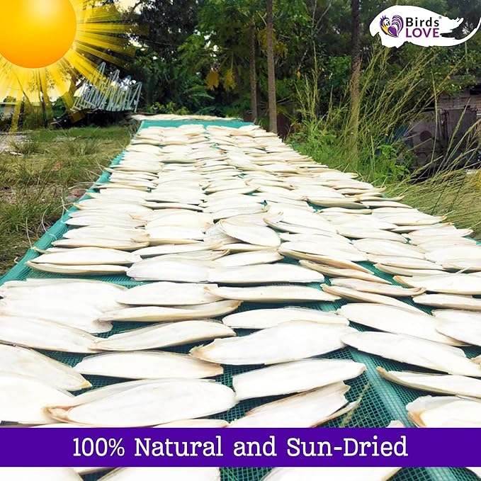 Birds LOVE Natural Cuttlebone – Premium Calcium for Cockatiel, Parrots, Tortoise, Snails, Crabs and Chinchillas - Pure Cuttlebone for Birds - Parakeet Food and Bird Treats - 4lb, Size 5.5 to 6"