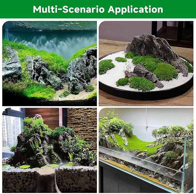 6.6LB Seiryu Rock Stone for Aquascaping,4-6 inch Natural Aquarium Landscape Stones for Aquariums,Fish Tank Decor Rocks for Landscaping, Paludariums & Micro Landscapes