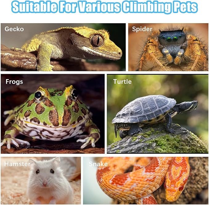 Reptile Water Dish, Reptile Feeding Dish Corner Bowl Breadworm Feeding Food Bowl, Terrarium Decor Bowls for Bearded Dragon Lizard Frog Leopard Gecko Tortoise Hermit Crab Chameleon (Style-2 Small)